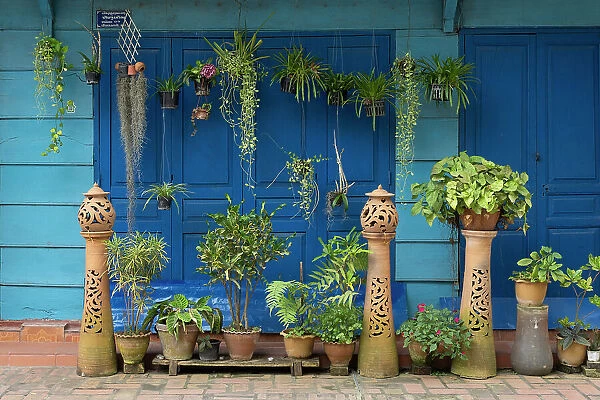 Potted plants and blue doors, Luang Prabang (ancient capital of Laos on the Mekong river), Laos