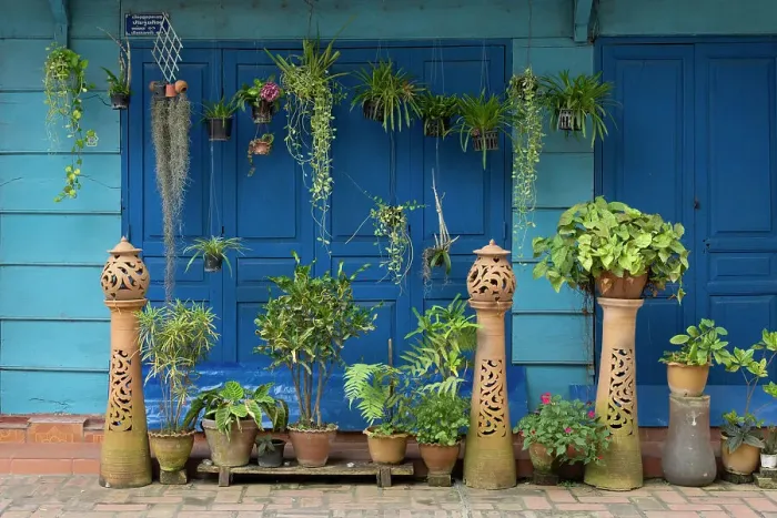 Framed Print : Potted plants and blue doors, Luang Prabang (ancient capital of Laos on the Mekong river), Laos Framed Print : Potted plants and blue doors, Luang Prabang (ancient capital of Laos on the Mekong river), Laos