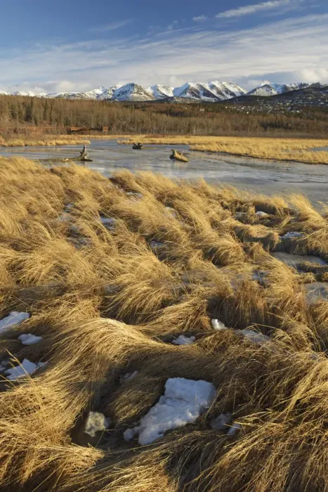 Framed Print : Potter marsh in winter outside of Anchorage, Alaska, USA Framed Print : Potter marsh in winter outside of Anchorage, Alaska, USA