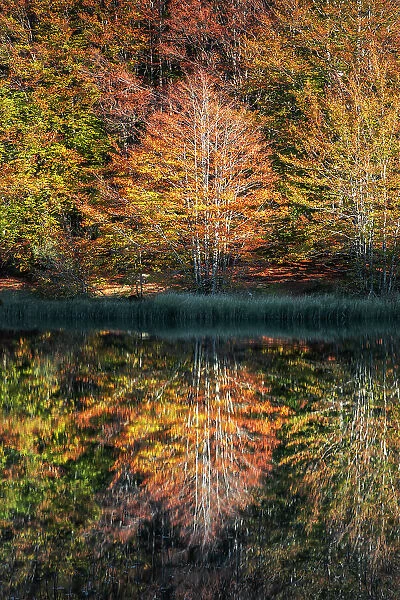 Pranda Lake, tuscan-emilian apennine national park, municipality of Ventasso, Reggio Emilia province, Emilia-Romagna district, Italy