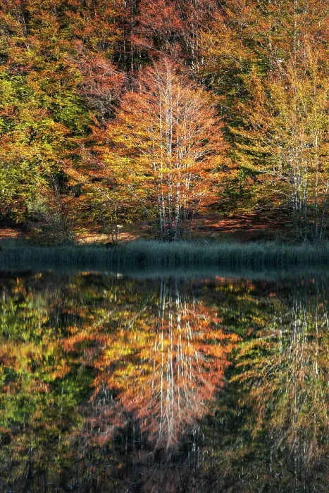 Framed Print : Pranda Lake, tuscan-emilian apennine national park, municipality of Ventasso, Reggio Emilia province, Emilia-Romagna district, Italy Framed Print : Pranda Lake, tuscan-emilian apennine national park, municipality of Ventasso, Reggio Emilia province, Emilia-Romagna district, Italy