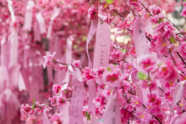 Prayer ribbons and blossom for Chinese New Year at Man Mo Temple, Sheung Wan, Hong