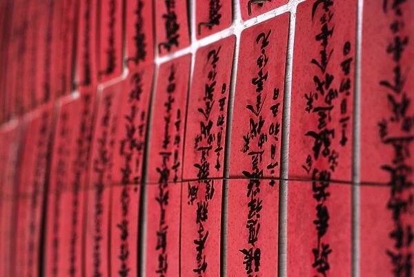 Prayer slips decorate a wall in the Chuk Lam Sim