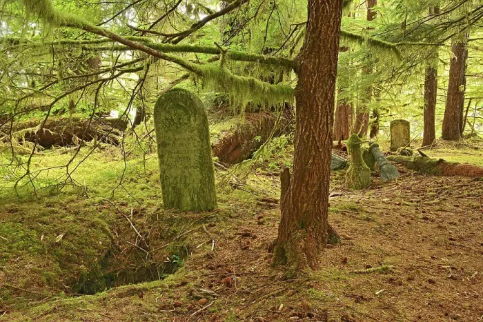 Framed Print : Pre 1900 burials at Mathers Creek on Louise Island, Haida Gwaii. thought to be of persons who had lived in the village of Clue. After this era the Clue inhabitants relocated to Skidegate, British Columbia Framed Print : Pre 1900 burials at Mathers Creek on Louise Island, Haida Gwaii. thought to be of persons who had lived in the village of Clue. After this era the Clue inhabitants relocated to Skidegate, British Columbia