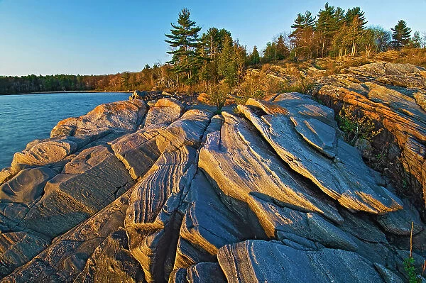 pre-cambrian shield along Georgian Bay Killbear Provincial Park, Ontario, Canada