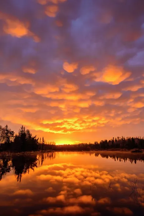 Framed Print : Pre-dawn reflections in a beaver pond in early spring, Greater Sudbury, Ontario, Canada Framed Print : Pre-dawn reflections in a beaver pond in early spring, Greater Sudbury, Ontario, Canada