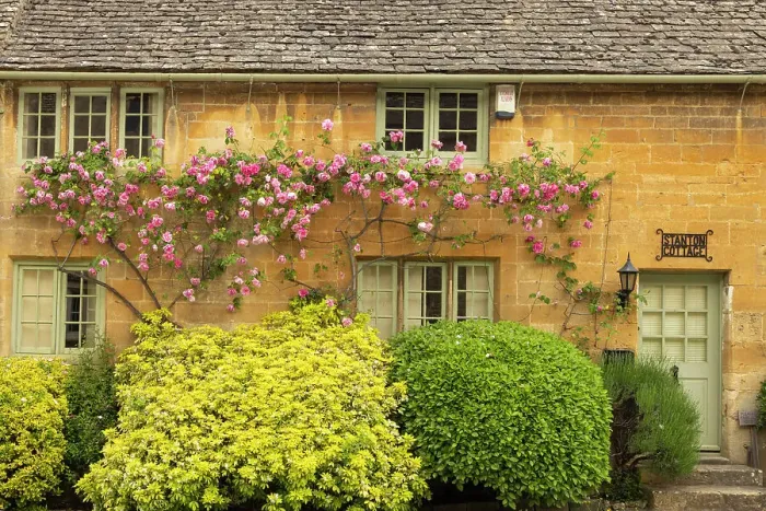 Framed Print : Pretty cottage in the Cotswolds village of Stanton, Gloucestershire, England. Spring (May) 2024 Framed Print : Pretty cottage in the Cotswolds village of Stanton, Gloucestershire, England. Spring (May) 2024