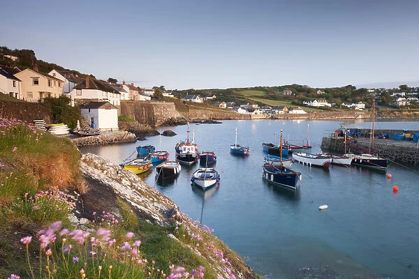 Pretty harbour and fishing boats at Coverack on the Lizard Peninsula, Cornwall, England