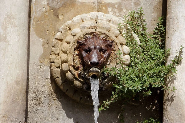 Provence; France. Details in a fountain in Provence