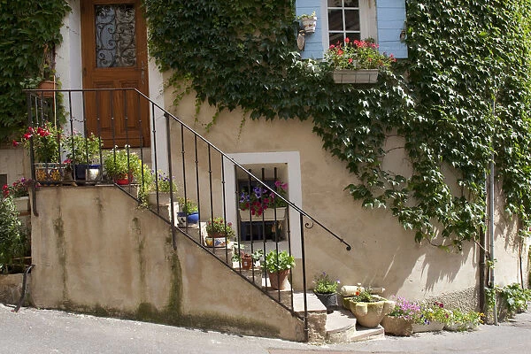 Provence, France. Ivy and flowers in front of a home in the South of France