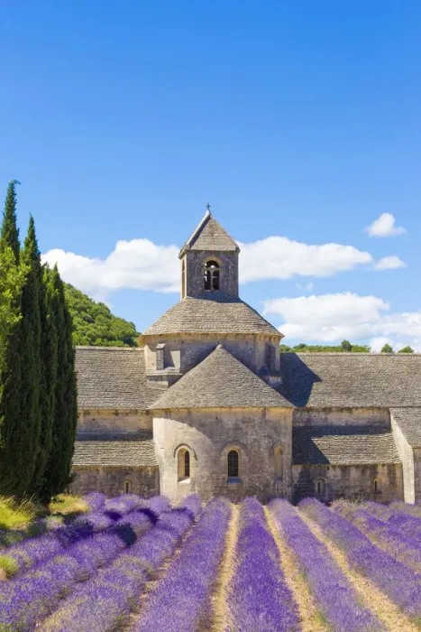 Framed Print : Provence, France. Lavender field at Senanque Abbaye Framed Print : Provence, France. Lavender field at Senanque Abbaye