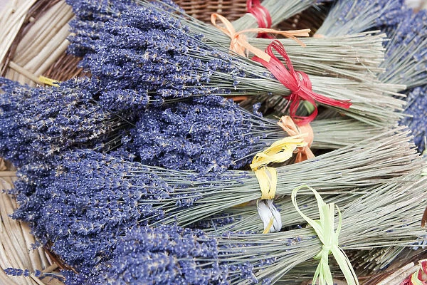 Provence, France. Lavender stalks in a basket in Provence France