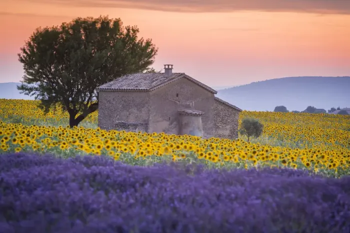Framed Print : Provence, Valensole Plateau, France, Europe
