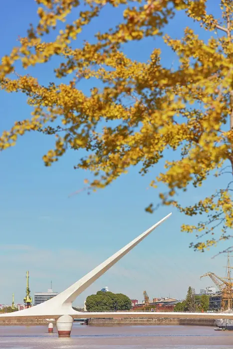 Framed Print : The Puente de la Mujer bridge in autumn, Puerto Madero, Buenos Aires, Argentina