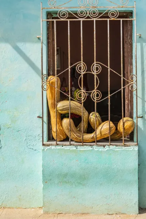 Framed Print : Pumpkins for sale in a house in Trinidad, Sancti Spiritus, Cuba