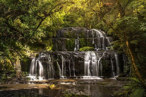Purakaunui Falls in rainforest, The Catlins, Otago Region, South Island, New Zealand