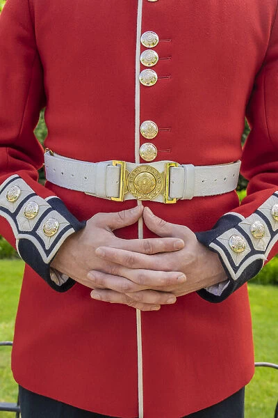 Queens guards uniform detail, London, England, Uk