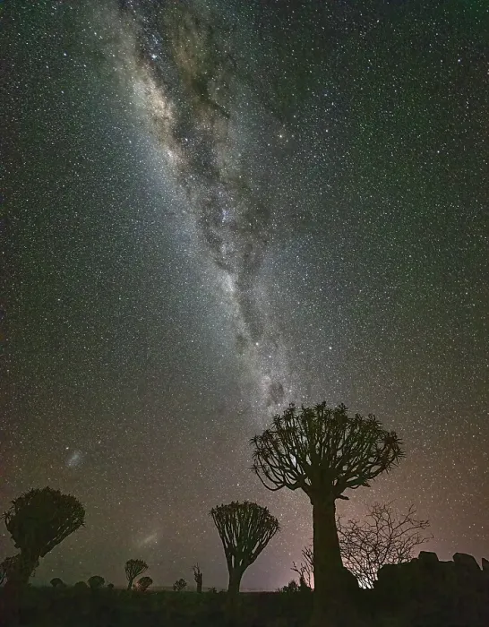 Framed Print : Quiver trees (Aloidendron dichotomum) and Milky Way, Quiver tree Forest, near Keetmanshoop, Namibia Framed Print : Quiver trees (Aloidendron dichotomum) and Milky Way, Quiver tree Forest, near Keetmanshoop, Namibia