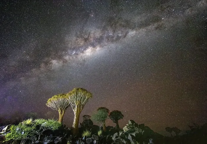 Framed Print : Quiver trees (Aloidendron dichotomum) and Milky Way, Quiver tree Forest, near Keetmanshoop, Namibia Framed Print : Quiver trees (Aloidendron dichotomum) and Milky Way, Quiver tree Forest, near Keetmanshoop, Namibia