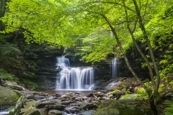 Framed Print : R. B. Ricketts Falls, Ricketts Glen State Park, Sullivan County, Pennsylvania, USA Framed Print : R. B. Ricketts Falls, Ricketts Glen State Park, Sullivan County, Pennsylvania, USA