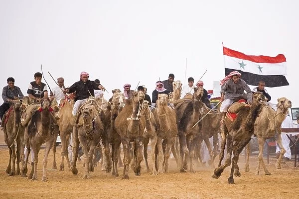 A race-winning camel in the paddock at Palmyra as storm clouds gather