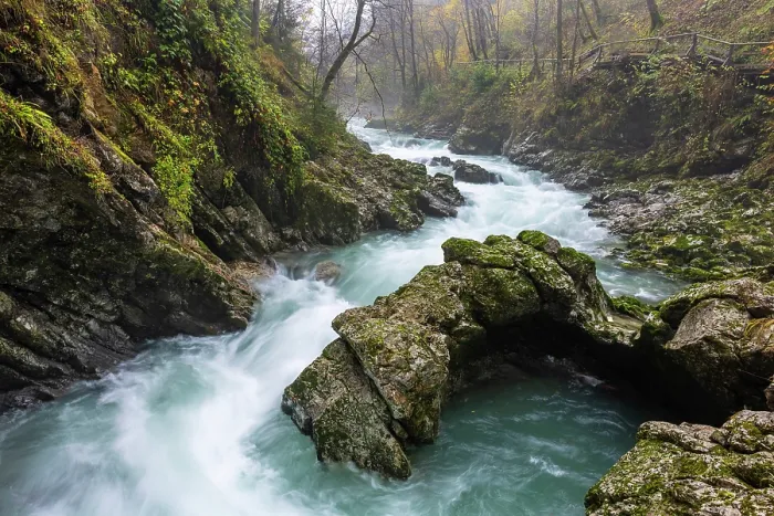 Framed Print : Radovna River floweing through the Vintgar Gorge in Autumn, near Bled, Slovenia Framed Print : Radovna River floweing through the Vintgar Gorge in Autumn, near Bled, Slovenia