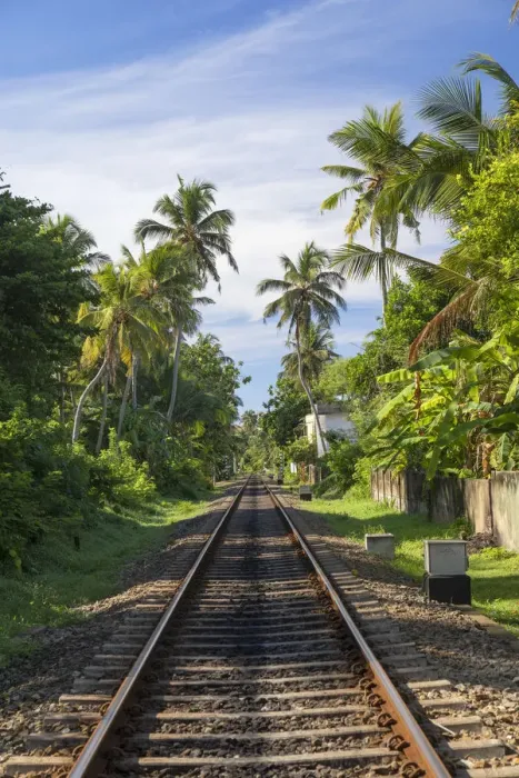 Framed Print : Railway tracks, Hikkaduwa, Southern Province, Sri Lanka Framed Print : Railway tracks, Hikkaduwa, Southern Province, Sri Lanka