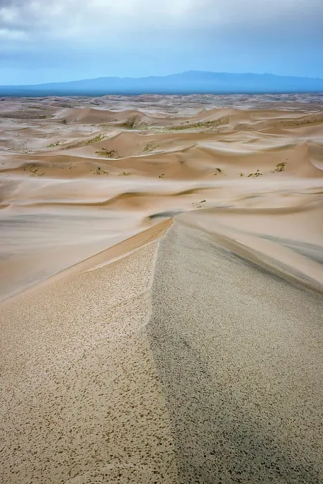 Framed Print : Rain on the Khongoryn Els sand dunes, Gobi Desert, Mongolia
