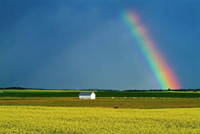 Framed Print : Rainbow and bales after prairie storm Near Mariapolis Manitoba MB Canada Framed Print : Rainbow and bales after prairie storm Near Mariapolis Manitoba MB Canada