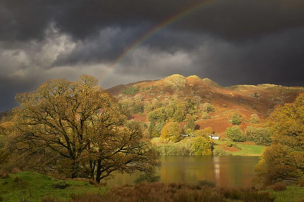 Rainbow over Loughrigg Fell in Autumn, Lake District National Park, Cumbria, England