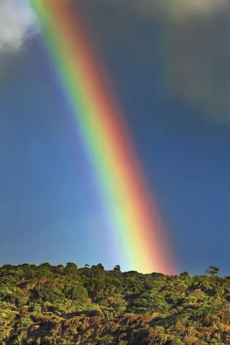 Framed Print : Rainbow - New Zealand, South Island, Southland, Slope Point Framed Print : Rainbow - New Zealand, South Island, Southland, Slope Point