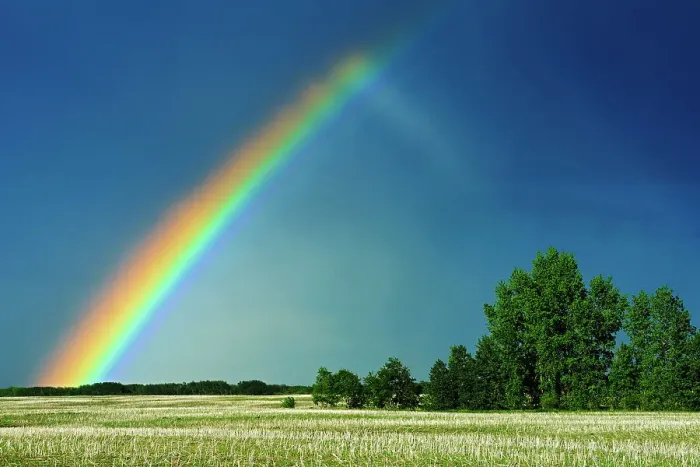 Framed Print : Rainbow and shelterbelt trees Wroxton Saskatchewan, Canada