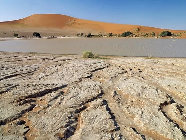 A rainwater pan forms at the base of Sossusvlei in