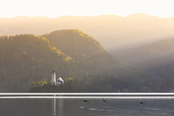 Raking light on the Pilgrimage Church of the Assumption of Mary, Lake Bled