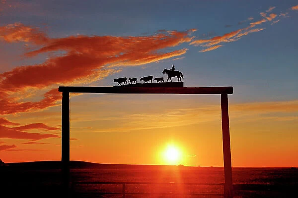 Ranch gate at sunset near Strathmore, Alberta, Canada