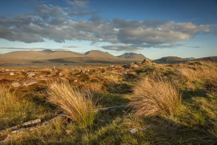 Framed Print : Rannoch Moor in the evening light, Highlands, Scotland, Great Britain Framed Print : Rannoch Moor in the evening light, Highlands, Scotland, Great Britain