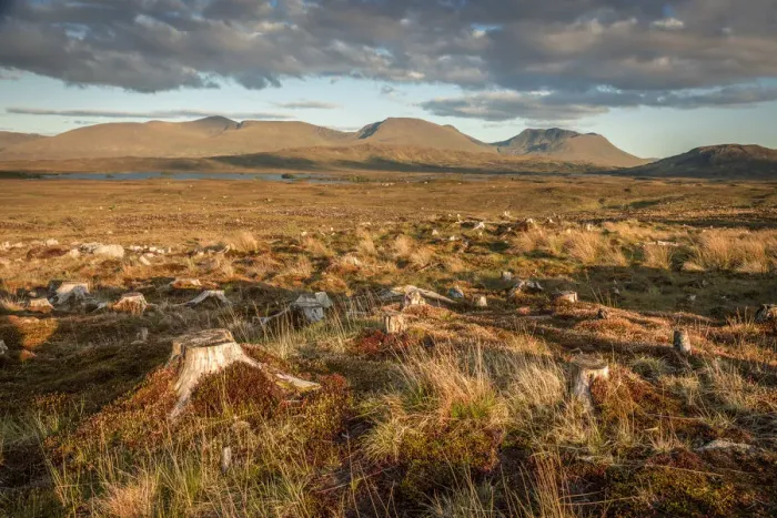 Framed Print : Rannoch Moor in the evening light, Highlands, Scotland, Great Britain Framed Print : Rannoch Moor in the evening light, Highlands, Scotland, Great Britain