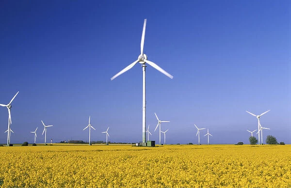 Rape field and wind turbines, Fehmarn Island, Schleswig-Holstein, Germany