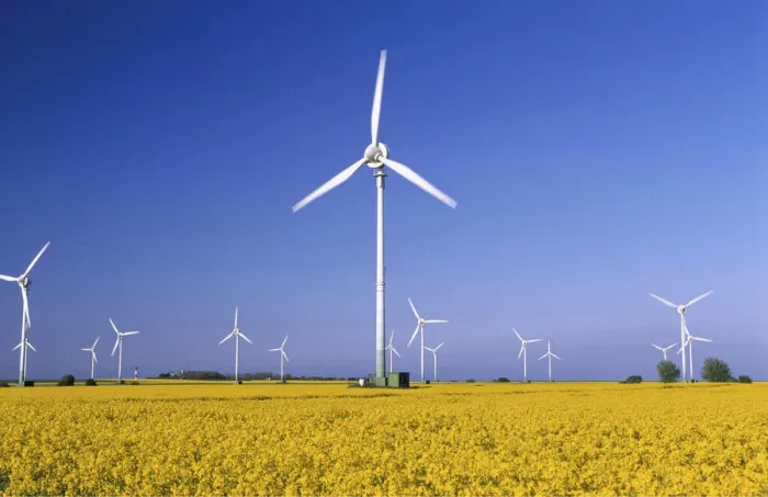 Framed Print : Rape field and wind turbines, Fehmarn Island, Schleswig-Holstein, Germany Framed Print : Rape field and wind turbines, Fehmarn Island, Schleswig-Holstein, Germany
