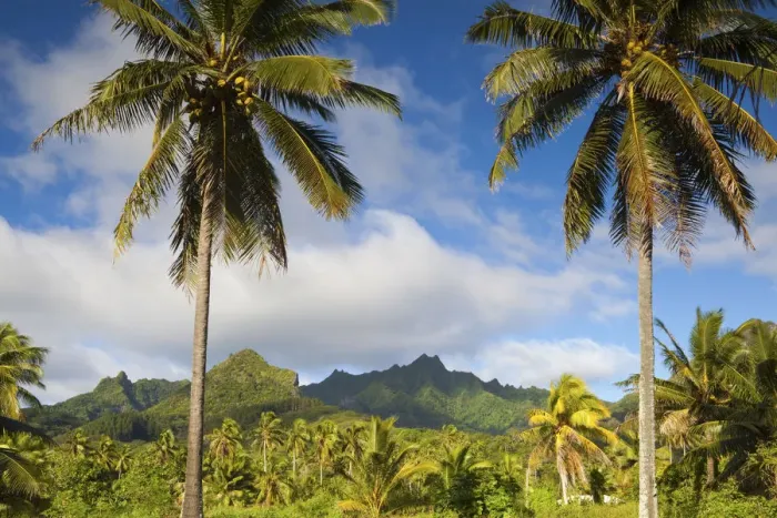 Framed Print : Rarotonga, Cook Islands, South Pacific Framed Print : Rarotonga, Cook Islands, South Pacific