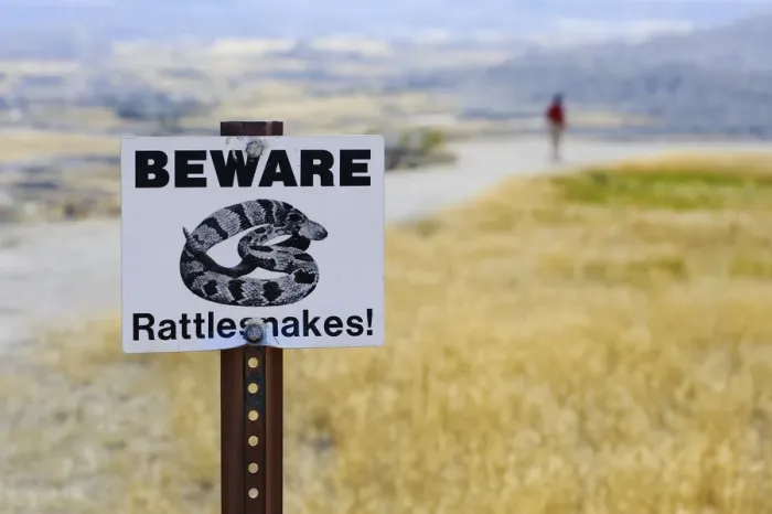 Framed Print : Rattlesnake Sign, Badlands National Park, South Dakota, USA Framed Print : Rattlesnake Sign, Badlands National Park, South Dakota, USA