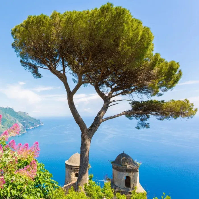 Framed Print : Ravello, Amalfi Coast, Sorrento, Italy. View of the coastline from Villa Rufolo Framed Print : Ravello, Amalfi Coast, Sorrento, Italy. View of the coastline from Villa Rufolo