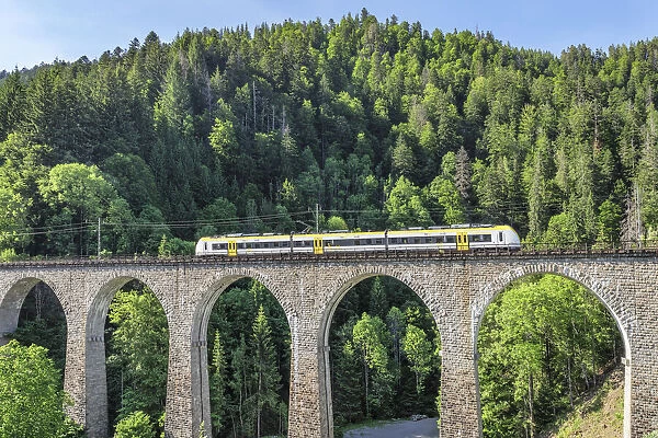 Ravenna Bridge, Viaduct of Hollentalbahn train, Breitnau, Hollental Valley, Black Forest, Baden-Wurttemberg, Germany