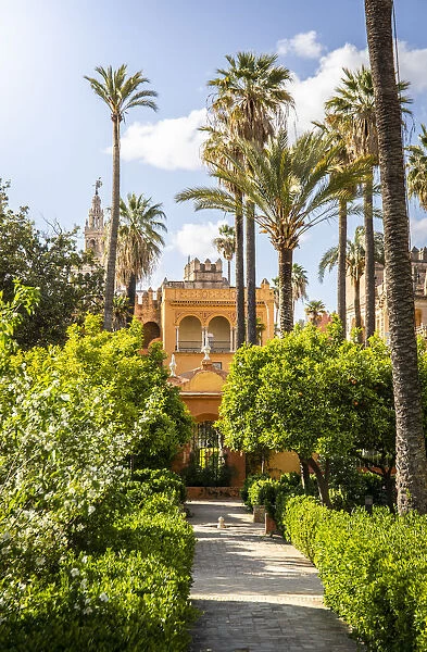 Real Alcazar gardens. Seville, Andalucia, Spain