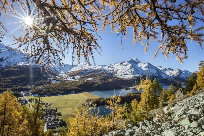Framed Print : Red autumn larches hide the sun by Lake Sils. Engadine. Switzerland