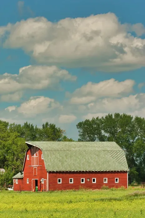 Framed Print : Red barn and canola crop Beausejour, Manitoba, Canada Framed Print : Red barn and canola crop Beausejour, Manitoba, Canada