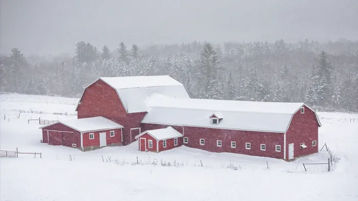 Framed Print : Red barn and dairy farm with snow falling, Green Mountains, Woodbury Center, Vermont, USA Framed Print : Red barn and dairy farm with snow falling, Green Mountains, Woodbury Center, Vermont, USA