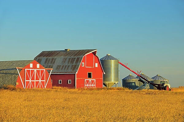 Red barn, grain bins and auger at sunrise near Moose Jaw Saskatchewan, Canada