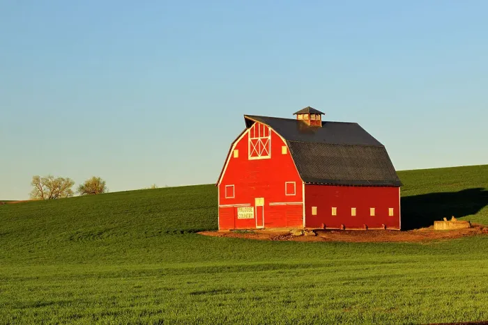 Framed Print : A red barn in the Palouse farmland in spring, Uniontown, Washington, USA Framed Print : A red barn in the Palouse farmland in spring, Uniontown, Washington, USA