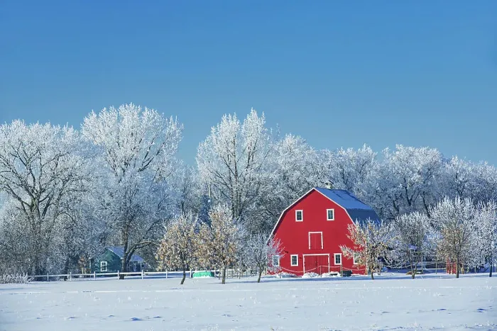 Framed Print : Red barn with rime ice (frost) Grande Pointe, Manitoba, Canada Framed Print : Red barn with rime ice (frost) Grande Pointe, Manitoba, Canada